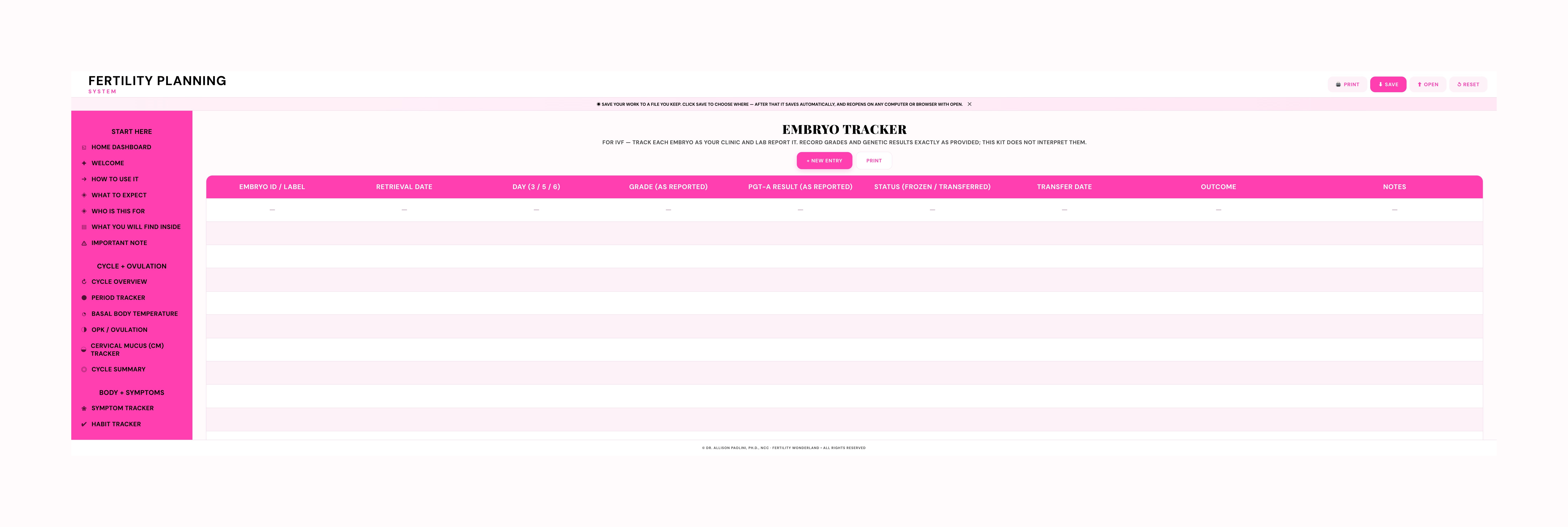 Fertility Planning System Embryo Tracker showing embryo ID, retrieval date, day, grade, testing result, status, transfer date, outcome and notes columns