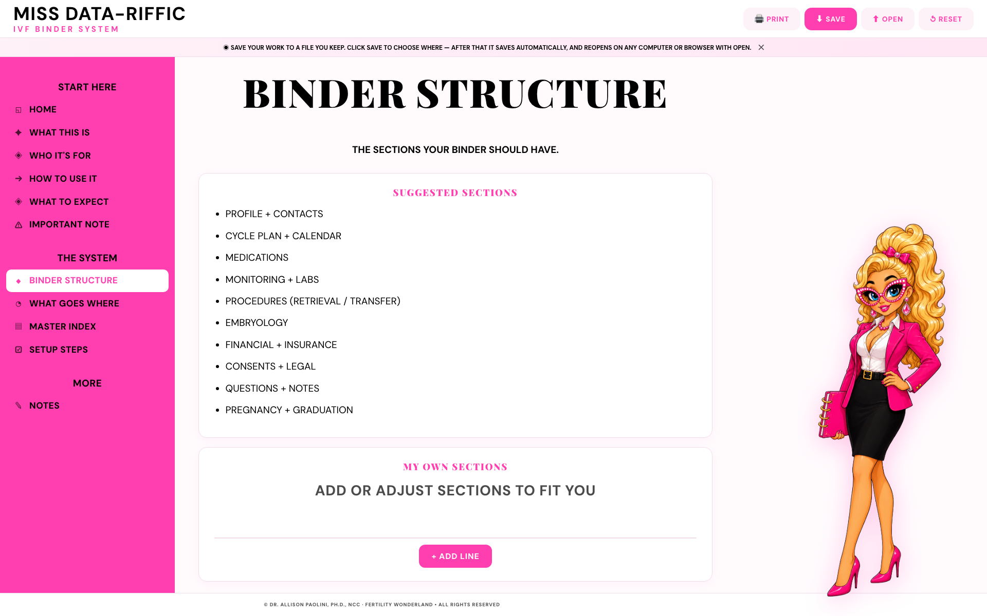 MISS DATA-RIFFIC IVF BINDER SYSTEM